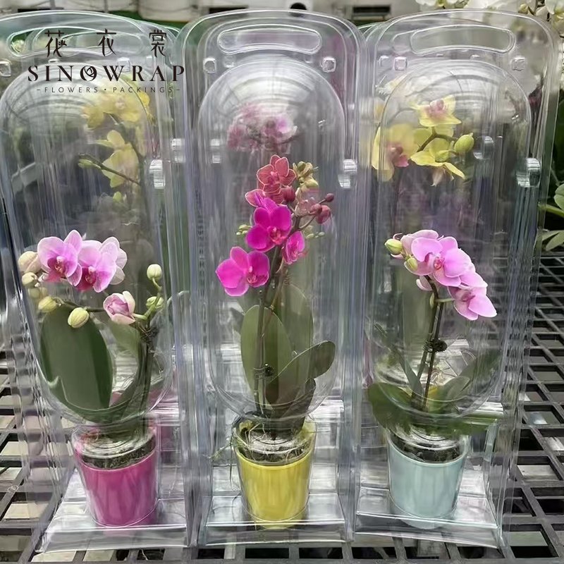 Flower Box