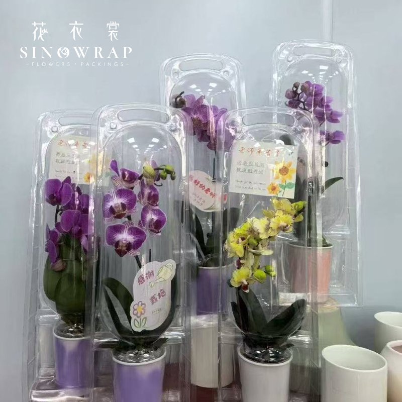 Flower Box
