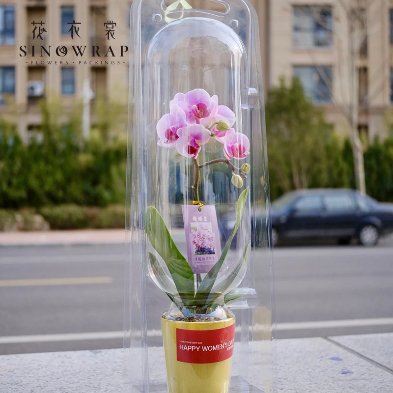 Flower Box