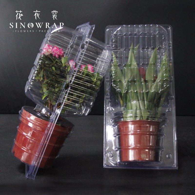 Flower Box