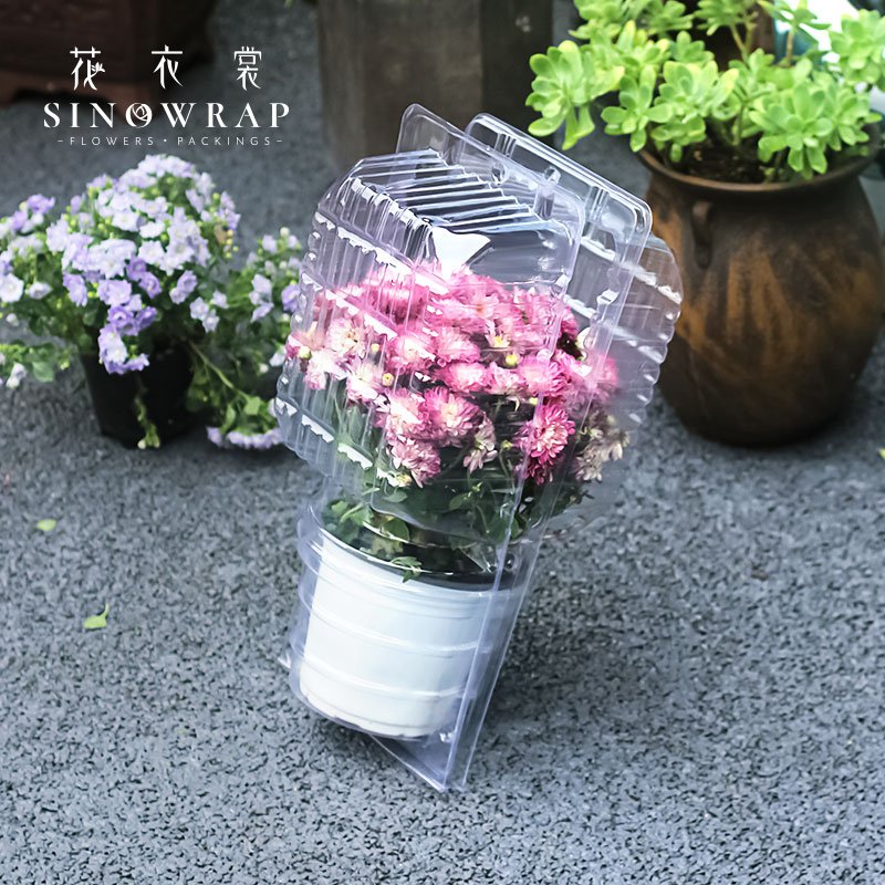 Flower Box